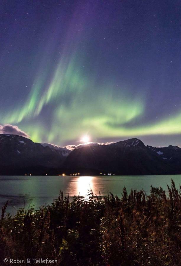 Sjursnes Fjordferie Apartment Ngoại thất bức ảnh