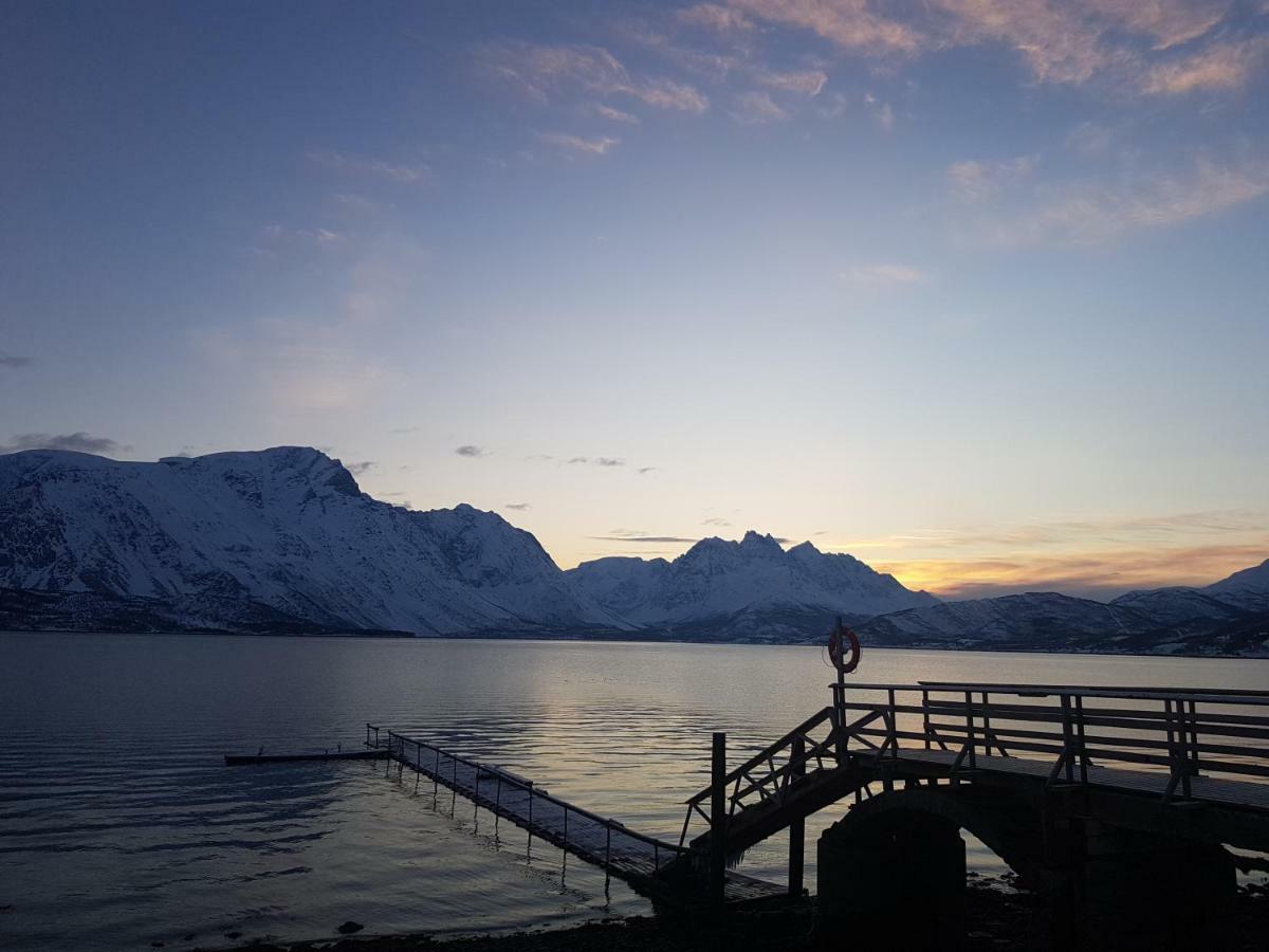 Sjursnes Fjordferie Apartment Ngoại thất bức ảnh