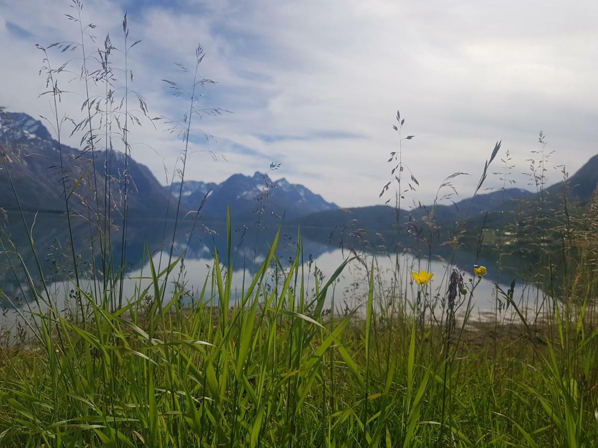 Sjursnes Fjordferie Apartment Ngoại thất bức ảnh